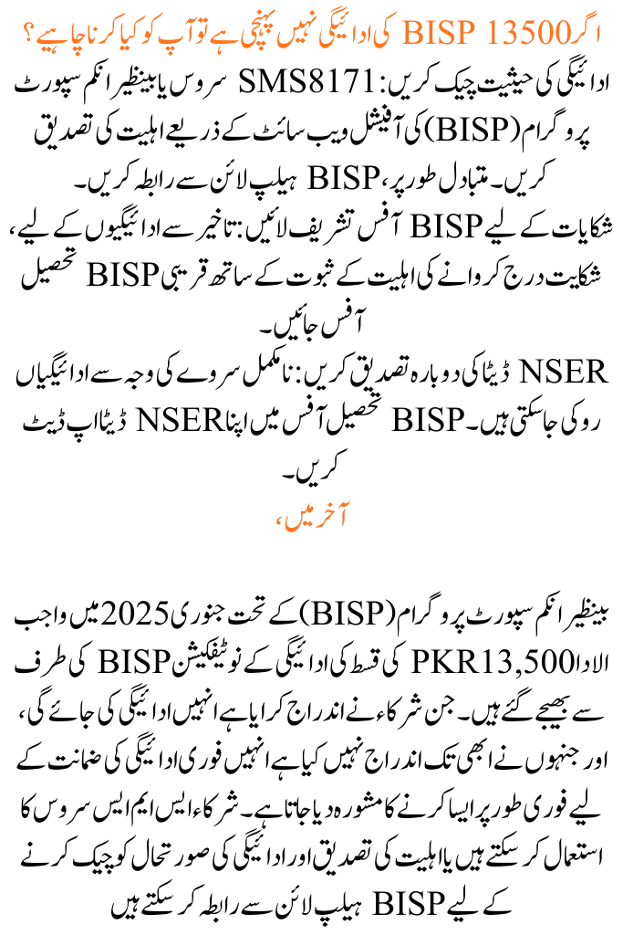 BISP 13500 Payment Notifications