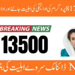 BISP 8171 Payment Eligibility: Full Guide for New & Existing Applicants 2026