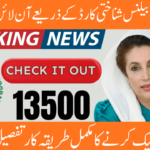 8171 BISP Balance Check Online by CNIC Number